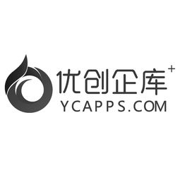 關(guān)于大連優(yōu)創(chuàng)網(wǎng)絡(luò)信息技術(shù)有限責(zé)任公司網(wǎng)絡(luò)信息技術(shù)咨詢的專業(yè)分析