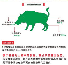 惠遠(yuǎn)肉行 健康路上的幸福滋味